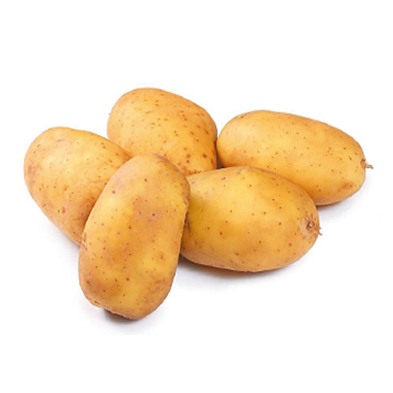 產品中心標題一