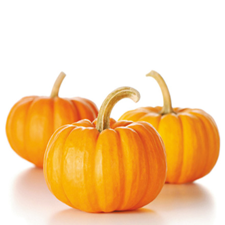 產品中心標題六