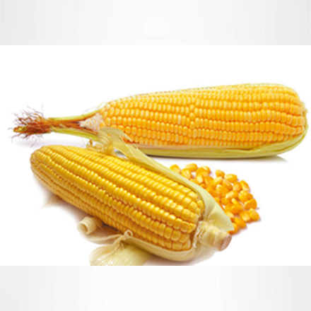 產品中心標題八