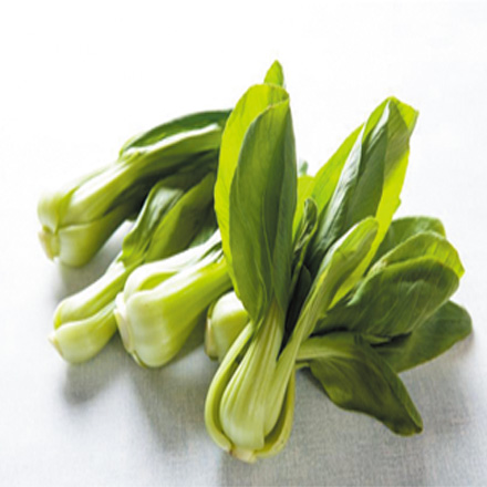 產品中心標題八